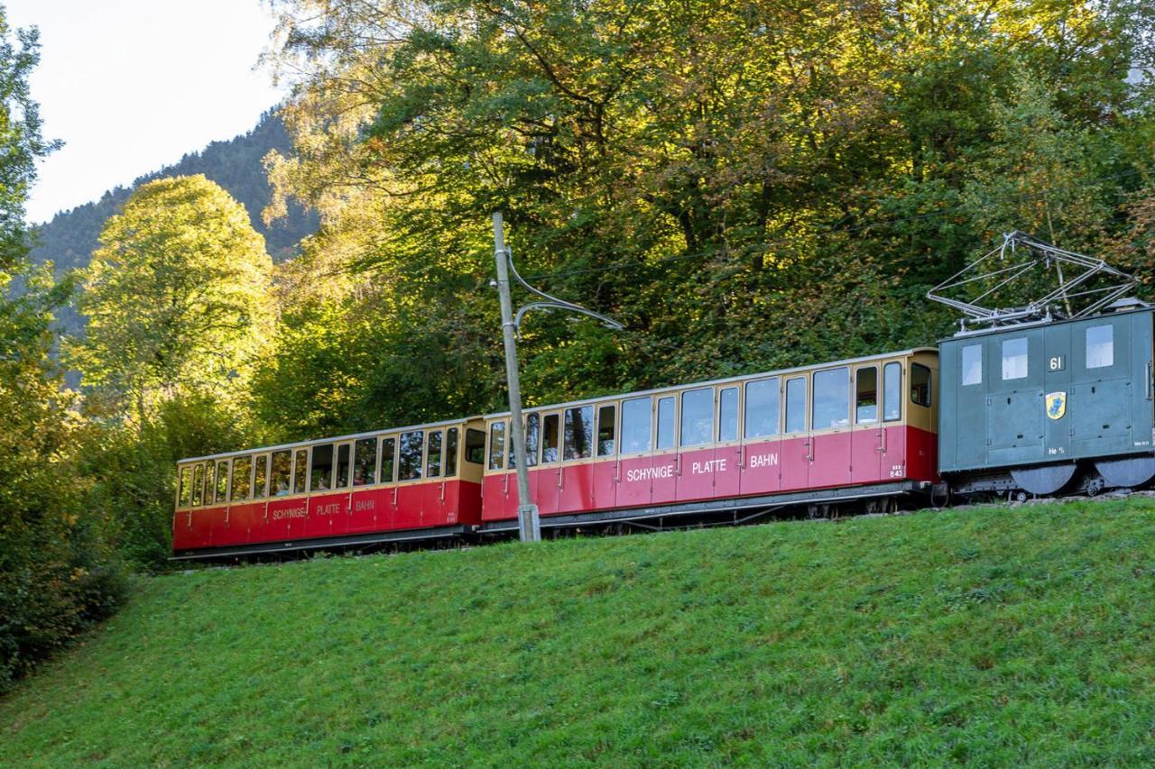Chalet Waeschhuesli Near Interlaken, Grindelwald And Lauterbrunnen グシュタイクヴィラー エクステリア 写真