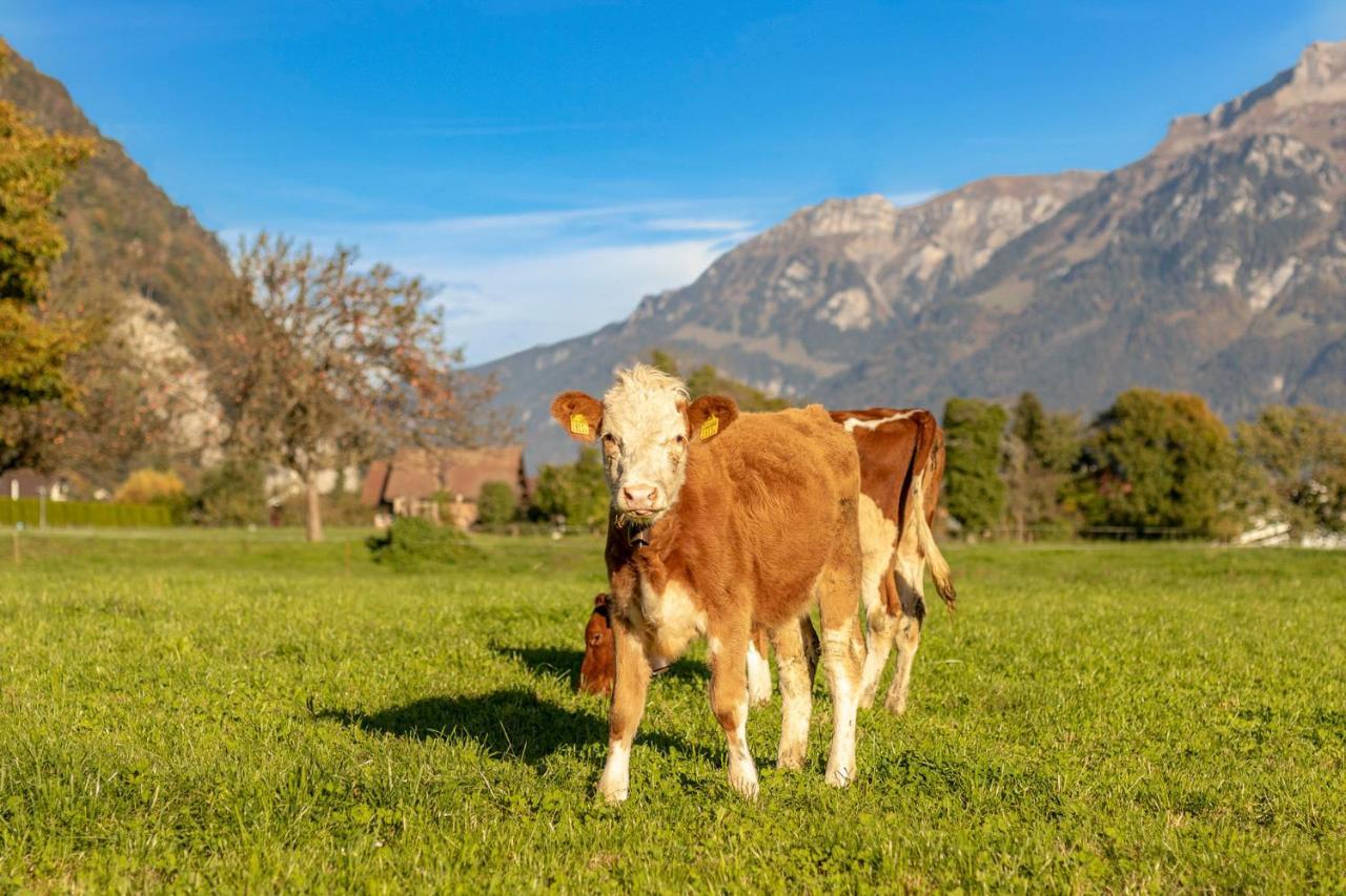 Chalet Waeschhuesli Near Interlaken, Grindelwald And Lauterbrunnen グシュタイクヴィラー エクステリア 写真