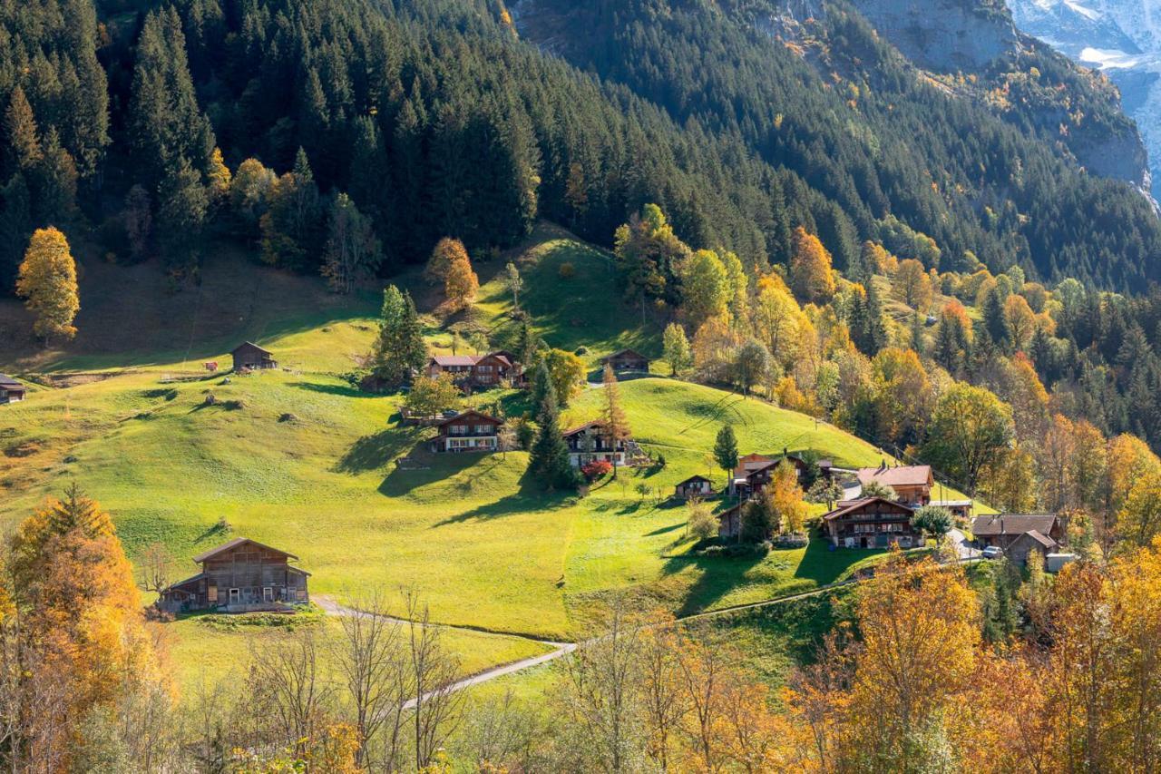 Chalet Waeschhuesli Near Interlaken, Grindelwald And Lauterbrunnen グシュタイクヴィラー エクステリア 写真