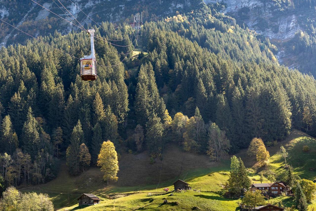 Chalet Waeschhuesli Near Interlaken, Grindelwald And Lauterbrunnen グシュタイクヴィラー エクステリア 写真